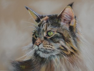 Le chat 